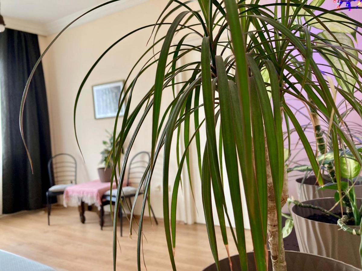 Terazije Square Lux Apartment Belgrado Buitenkant foto
